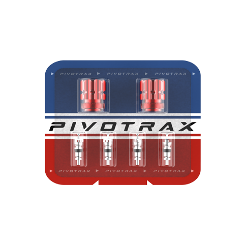 Tire Valve Stem Caps w/ Core Remover and Valve Cores (Set of 2 Caps and 4 Cores) - Pivotrax Dirt Bike Tires